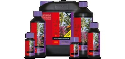 ATami BCUZZ Coco Bloom-Stimulator 1 L