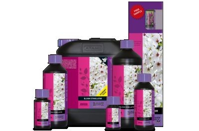 Atami BCUZZ BLOOM STIMULATOR f. Erde u. Hydro 0,5 L