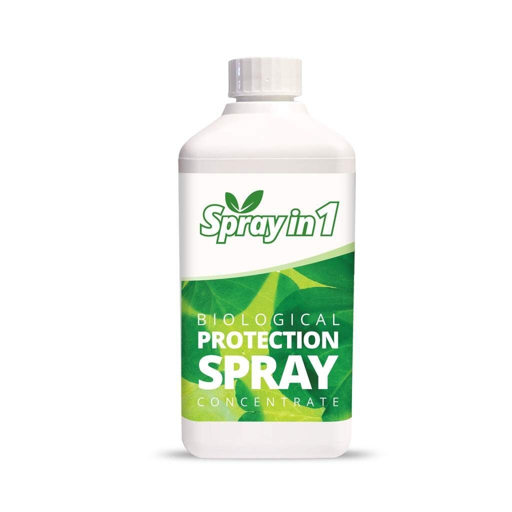 Spray in 1  Spinnmilbe/Thripse  500ml