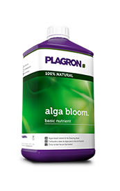 Plagron Alga Bloom 100ml