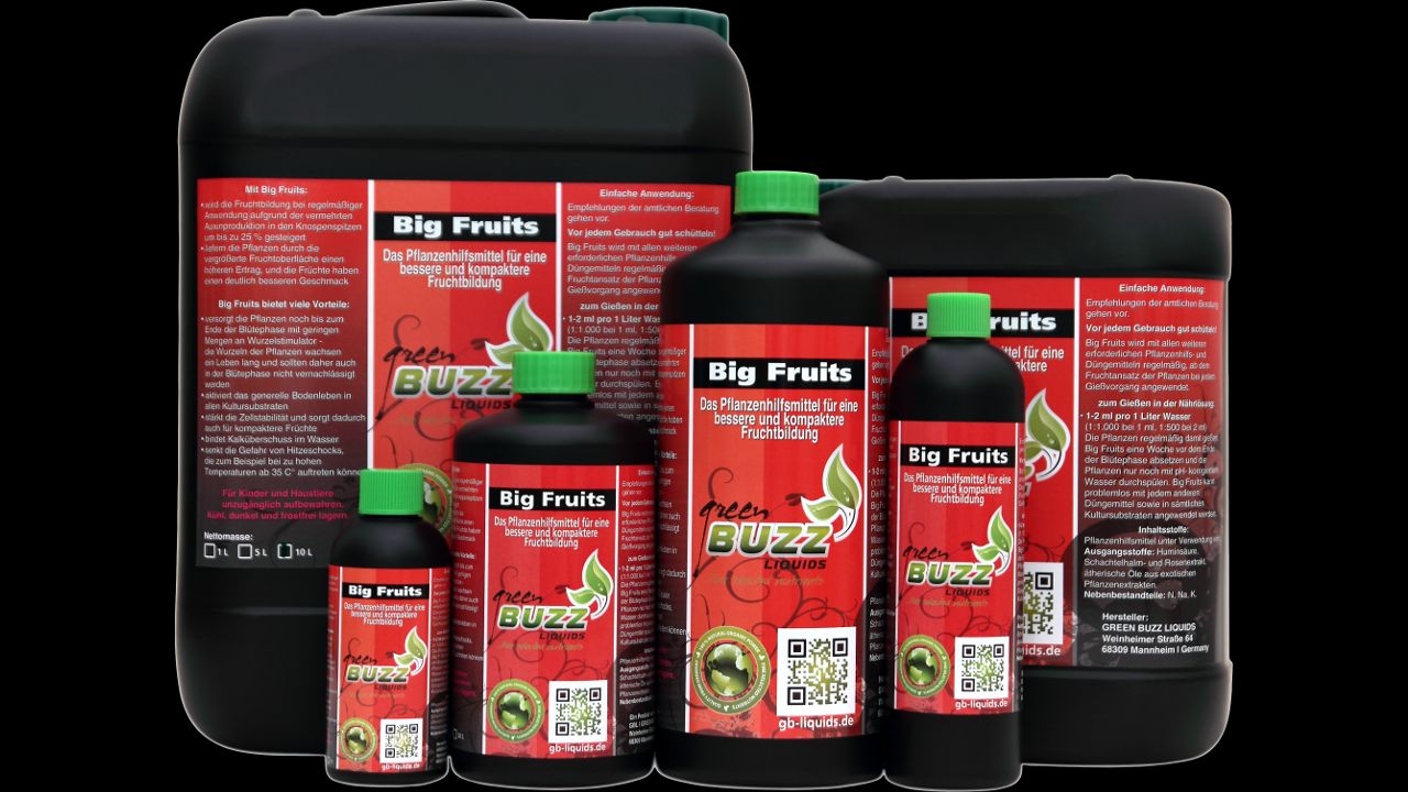 GBL Big Fruits - 20L