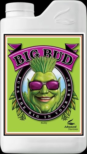 Big Bud   250ml