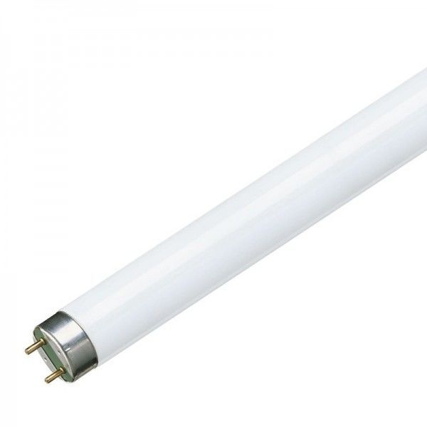 LSR Philips TLD 18 W Lichtfarbe 840, L=60 cm