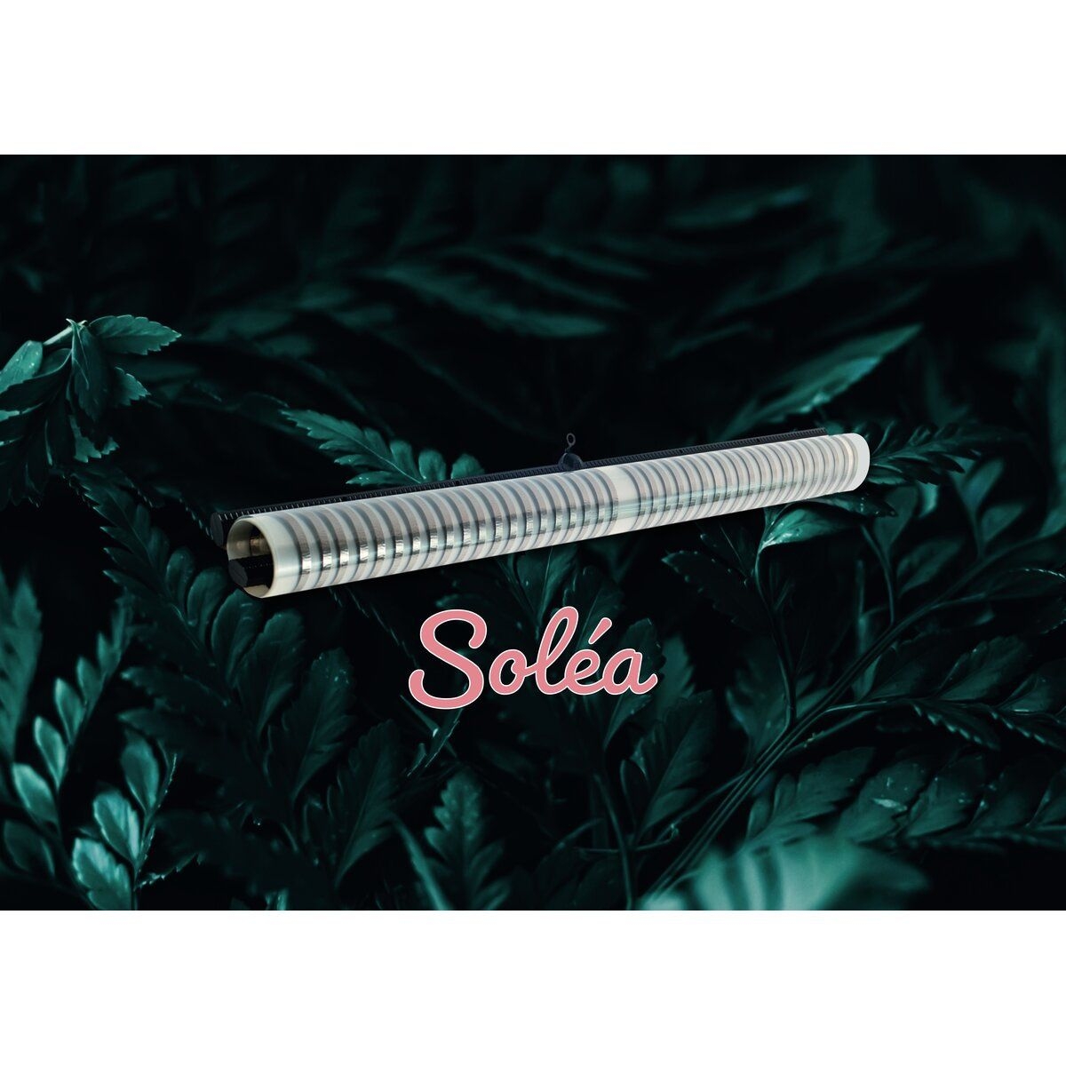 Solea Infrarotheizung 250 Watt 60x58cm