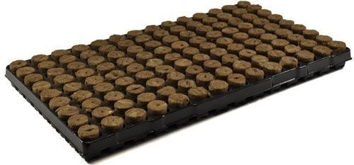 Anzuchtmatte Speedgrow  (Agrawool) 126 St., Karton 11 Trays