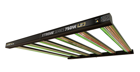 DimLux Xtreme Series LED 750W