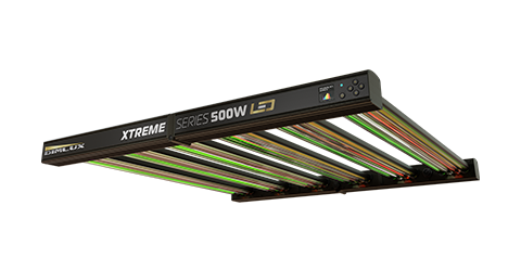 DimLux Xtreme Series LED 500W