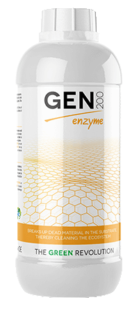 GEN200 ENZYME 1L